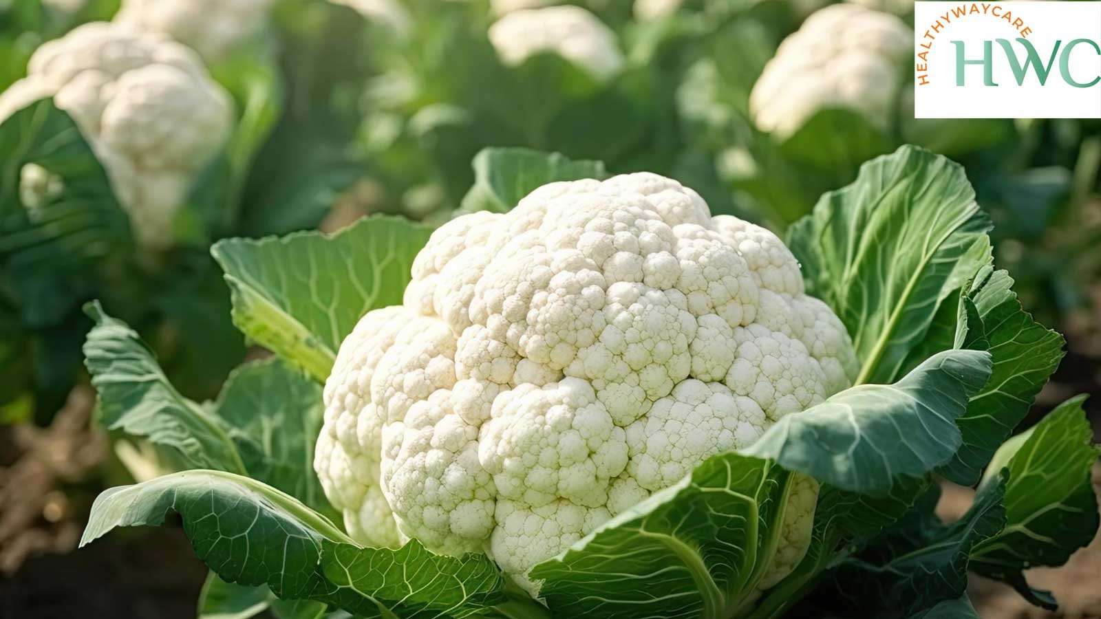 10 health benefits of cauliflower - healthy eating