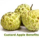 Custard Apple Benefits