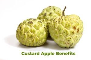 Custard Apple Benefits: A Nutrient Powerhouse for Health & Skin