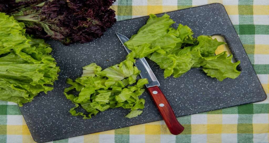 Green Leaf Lettuce Benefits