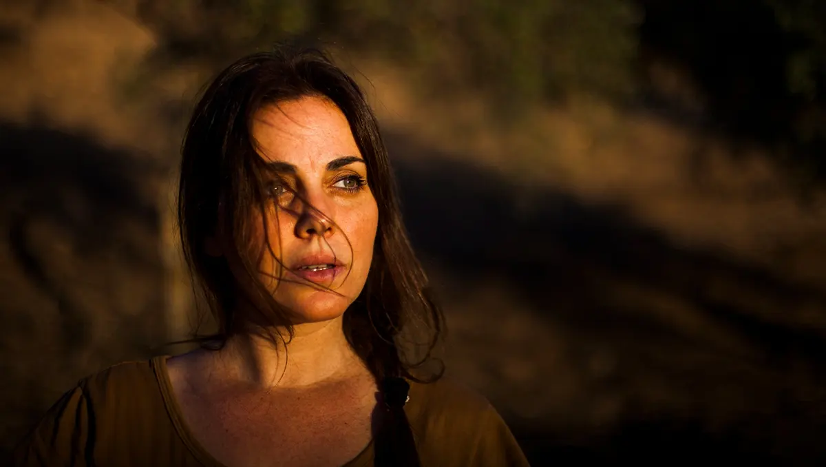 Why Am I Always Tired