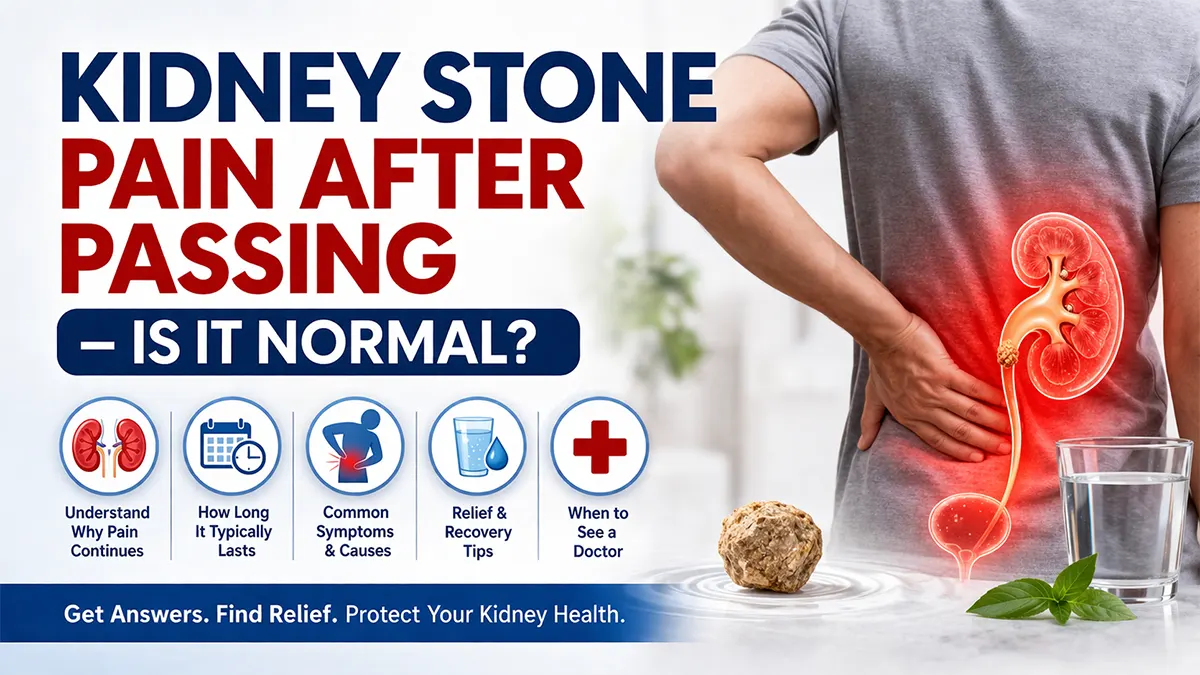 kidney stone pain after passing symptoms timeline and causes infographic