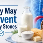 The Paradox of Calcium Why You Shouldn't Stop Dairy to Prevent Stones infographic showing dairy products and kidney stone prevention